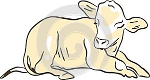 Resting Calf Illustration, A Peaceful Young Cow Lying Down and Relaxing in the Sun