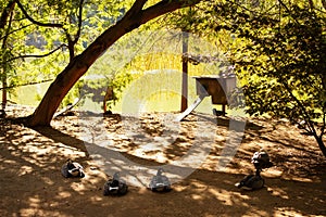 Resting geese and their houses in a park near a pond on a sunny day.