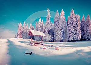 Resting place with alcove in the snowy mountain forest in sunny