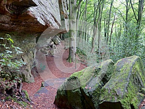 Resting Place at the Heroldt on the Mullerthal Trail in Berdorf, Luxembourg photo