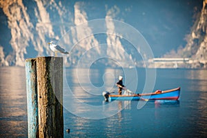Resting seagull and fisherman. Lake Garda.