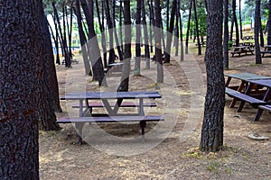 Resting and sitting places in the park