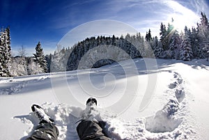 Resting in the snow, beautiful winter landscape