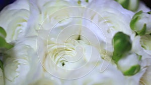 Resting White Rose Bouquet on wedding day