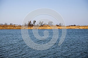 Restless water of the lake, the wind tends the dry yellowed grass to the ground and the bare trees