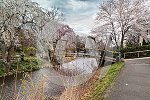 Reston Virginia VanGogh Footbridge in Spring