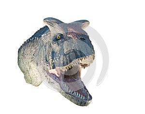 Restoration of a Carnotaurus (Carnotaurus sastrei) dinosaur isolated