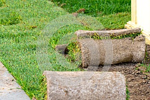 Restoration of a lawn covering with the help of a rolled lawn. Real grass in peat rolls. Quick way to improve the