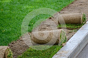 Restoration of a lawn covering with the help of a rolled lawn. Real grass in peat rolls. Quick way to improve the