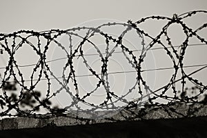Restricted area. Passage is prohibited closed. Border from old barbed metal barrier wire. Concept of border, prison, war, military