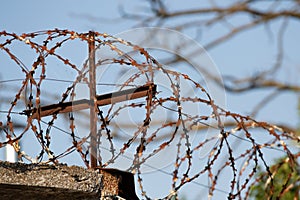 Restricted area. Passage is prohibited closed. Border from old barbed metal barrier wire. Concept of border, prison, war, military