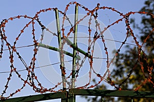 Restricted area. Passage is prohibited closed. Border from old barbed metal barrier wire. Concept of border, prison, war, military