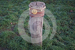 A restrictive roadside pole decorated with knitwear against a background of grass with hoarfrost in December. Berlin, Germany