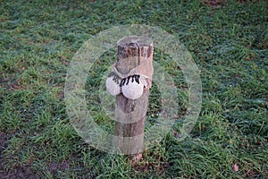 A restrictive roadside pole decorated with knitwear against a background of grass with hoarfrost in December. Berlin, Germany