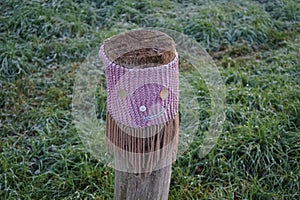 A restrictive roadside pole decorated with knitwear against a background of grass with hoarfrost in November. Berlin, Germany