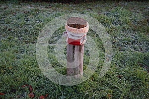 A restrictive roadside pole decorated with knitwear against a background of grass with hoarfrost in November. Berlin, Germany