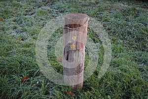 A restrictive roadside pole decorated with knitwear against a background of grass with hoarfrost in November. Berlin, Germany