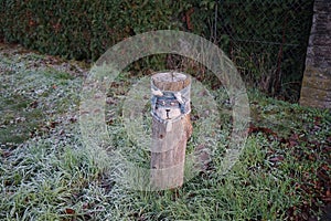 A restrictive roadside pole decorated with knitwear against a background of grass with hoarfrost in November. Berlin, Germany