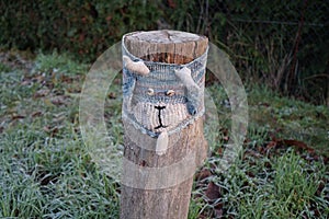 A restrictive roadside pole decorated with knitwear against a background of grass with hoarfrost in November. Berlin, Germany