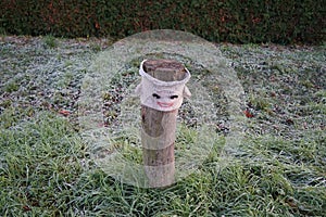 A restrictive roadside pole decorated with knitwear against a background of grass with hoarfrost in November. Berlin, Germany