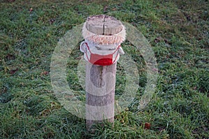 A restrictive roadside pole decorated with knitwear against a background of grass with hoarfrost in November. Berlin, Germany