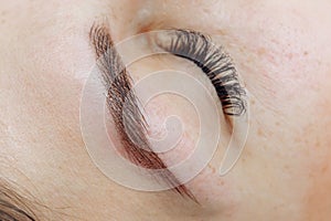 Result of permanent makeup, tattooing of eyebrows