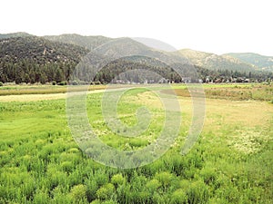 The Result Of Years Of Drought: A Grassy Meadow