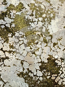 The resulting water seepage appears as faint white or light-colored patterns on the concrete surface.