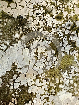 The resulting water seepage appears as faint white or light-colored patterns on the concrete surface.
