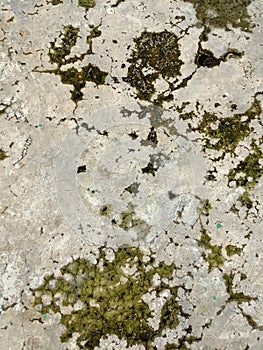 The resulting water seepage appears as faint white or light-colored patterns on the concrete surface.