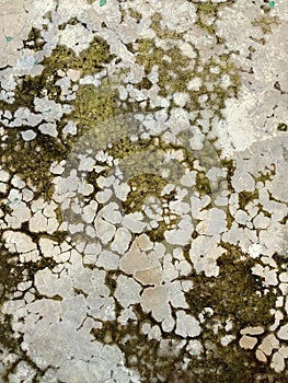 The resulting water seepage appears as faint white or light-colored patterns on the concrete surface.