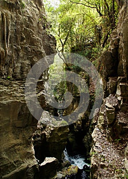 Resurgence of Bussento river in the cave in the natural reserve of Morigerati photo