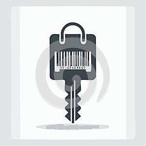 Retail Access and Data Security Key Icon