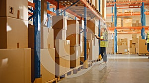 Retail Warehouse full of Shelves with Goods in Cardboard Boxes, Female Worker Scans and Sorts Pack