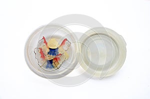 Retainer fashion in box