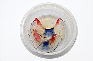 Retainer fashion in box