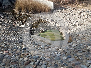 Retention Pond outside a grand lake.