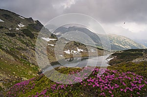 Retezat National Park