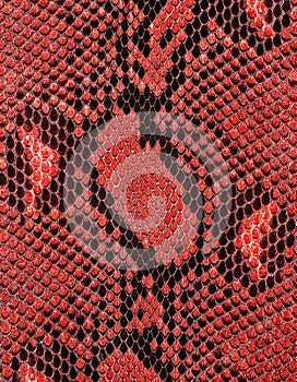 Reticulated python skin as background, red color