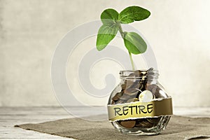 Retire. Glass jar with coins and a plant, on a table, on a gray background.