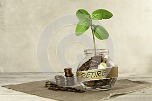 Retire. Glass jar with coins and a plant on the table and several coins nearby.