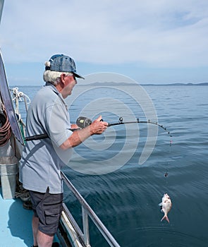 Retired adult man fishing on charter boat, catching a snapper -