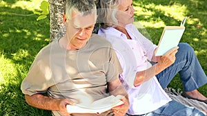 Retired couple leaning against tree reading