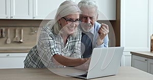 Retired couple spend leisure use computer at home