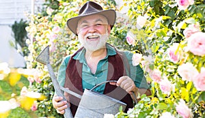 Retired gardener senior portrait, spring banner. Middle aged man portrait holding watering can on roses garden