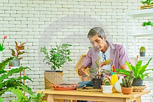 Retired man is planting houseplant at home as his hobby for mature leisure activity concept