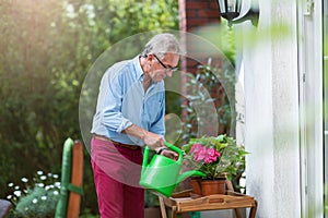 Retired man watering plants in the garden