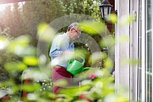 Retired man watering plants in the garden