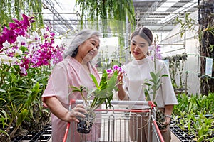 Retired mother and daughter spending time together selecting beautiful vanda orchid in the store