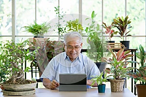 A retired old man use wireless communication via a tablet computer to inquire about indoor garden care from botanist. The morning